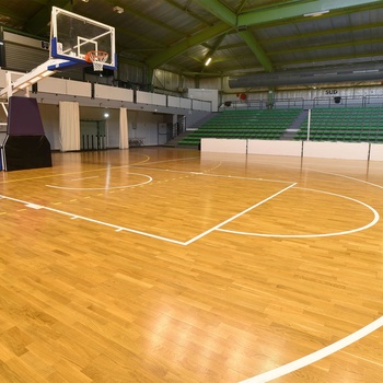 Thảm sân bóng rổ PVC hãng Enlio
