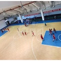 Thảm sân bóng rổ PVC hãng Enlio