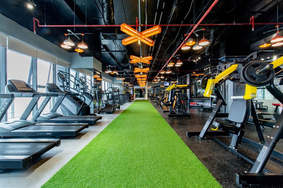 cỏ nhân tạo trải sàn tập gym