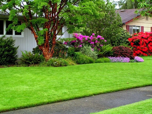 Thảm cỏ nhựa trang trí cho không gian thêm xanh tươi, đẹp mắt